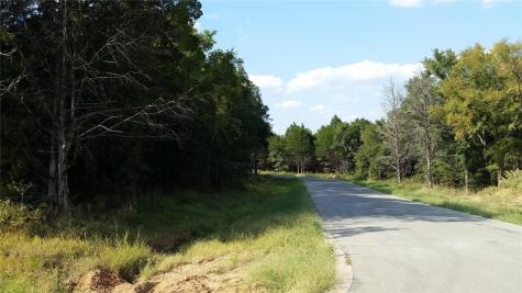 Lot 16 Dublin Circle Gordonville TX 76245
