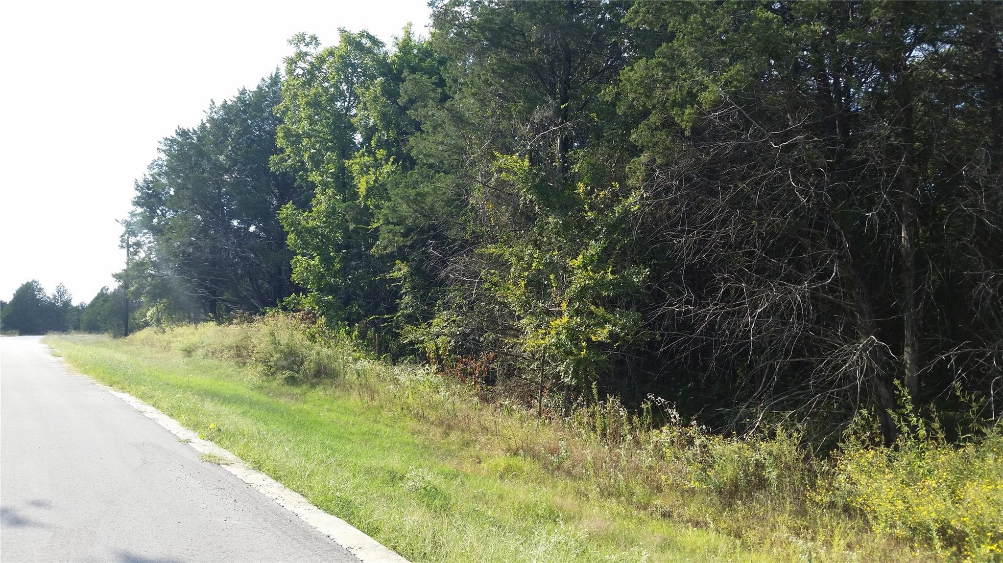 Lot 16 Dublin Circle Gordonville TX 76245