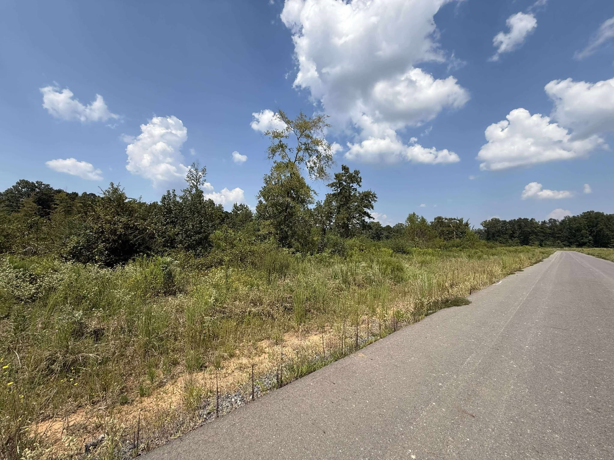 0 Bradleigh Boulevard Frierson LA 71027