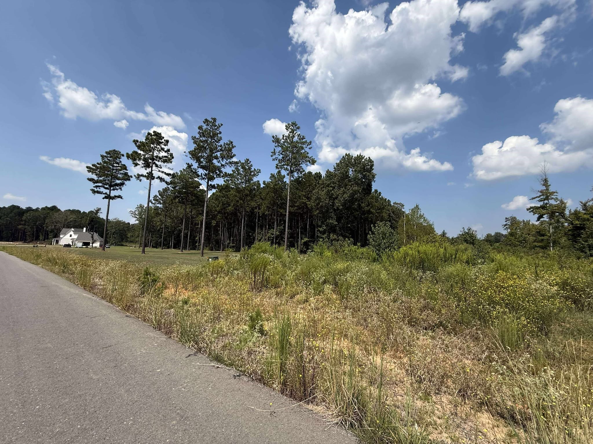 0 Bradleigh Boulevard Frierson LA 71027