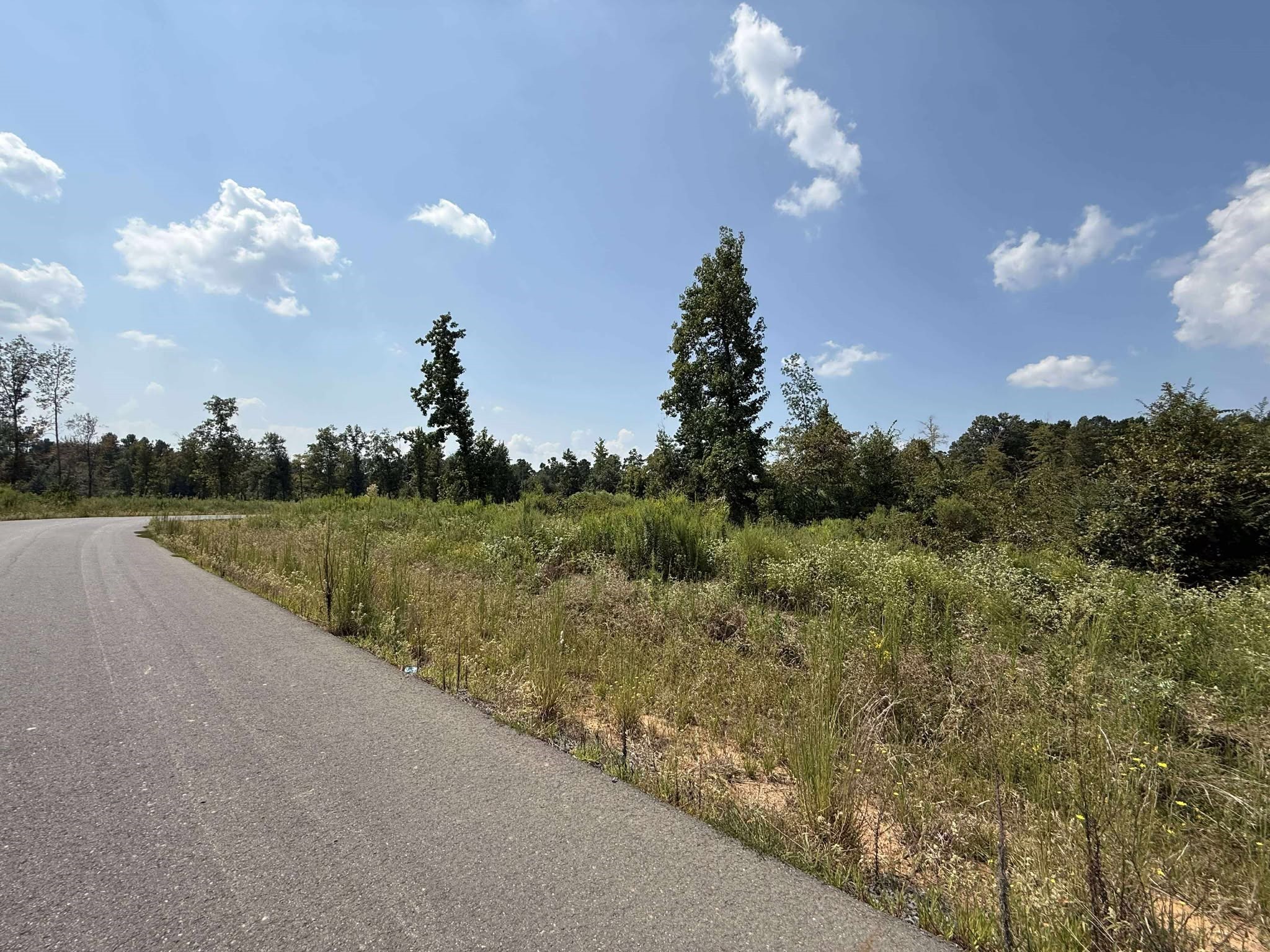 0 Bradleigh Boulevard Frierson LA 71027