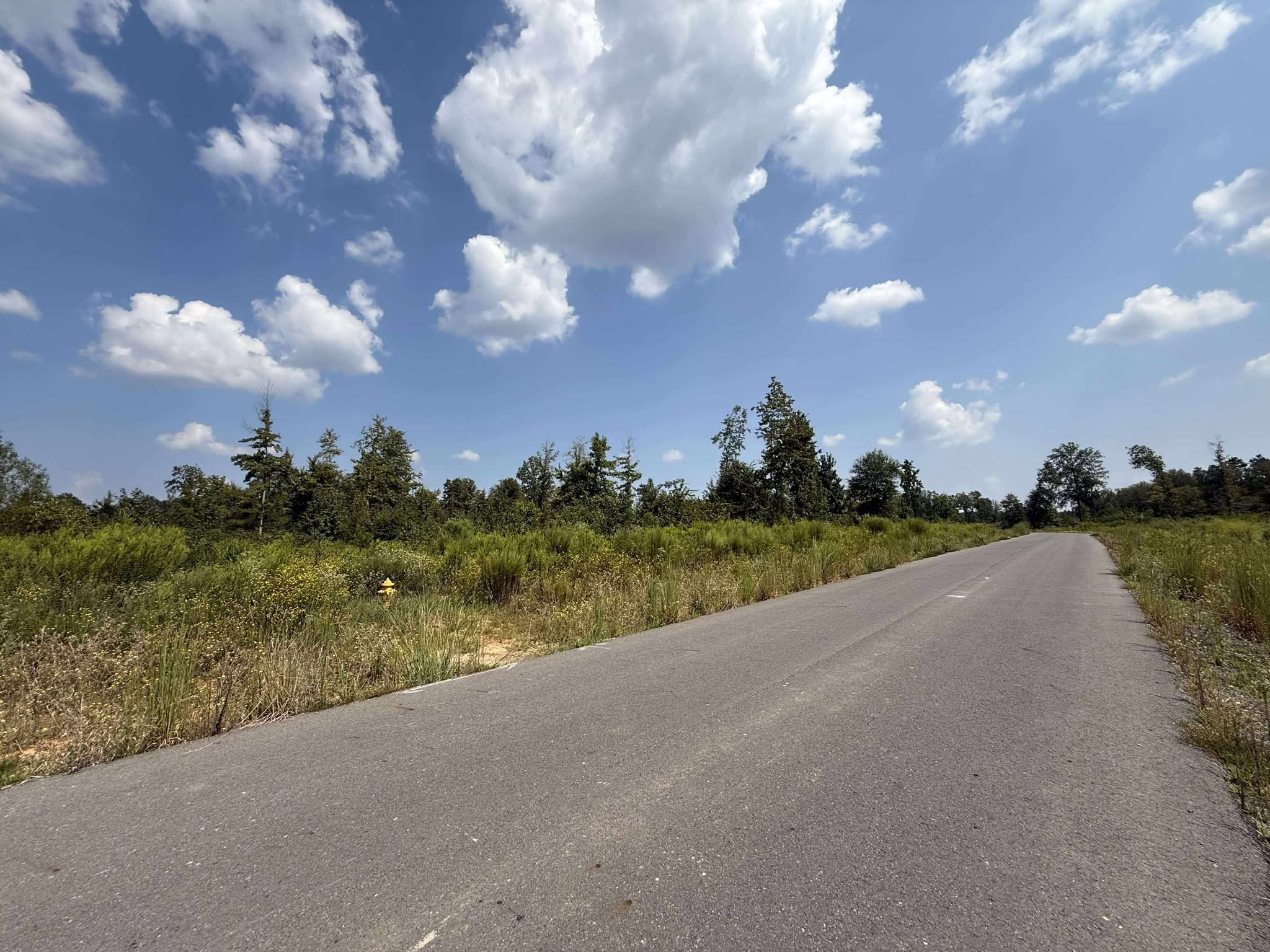 0 Bradleigh Boulevard Frierson LA 71027
