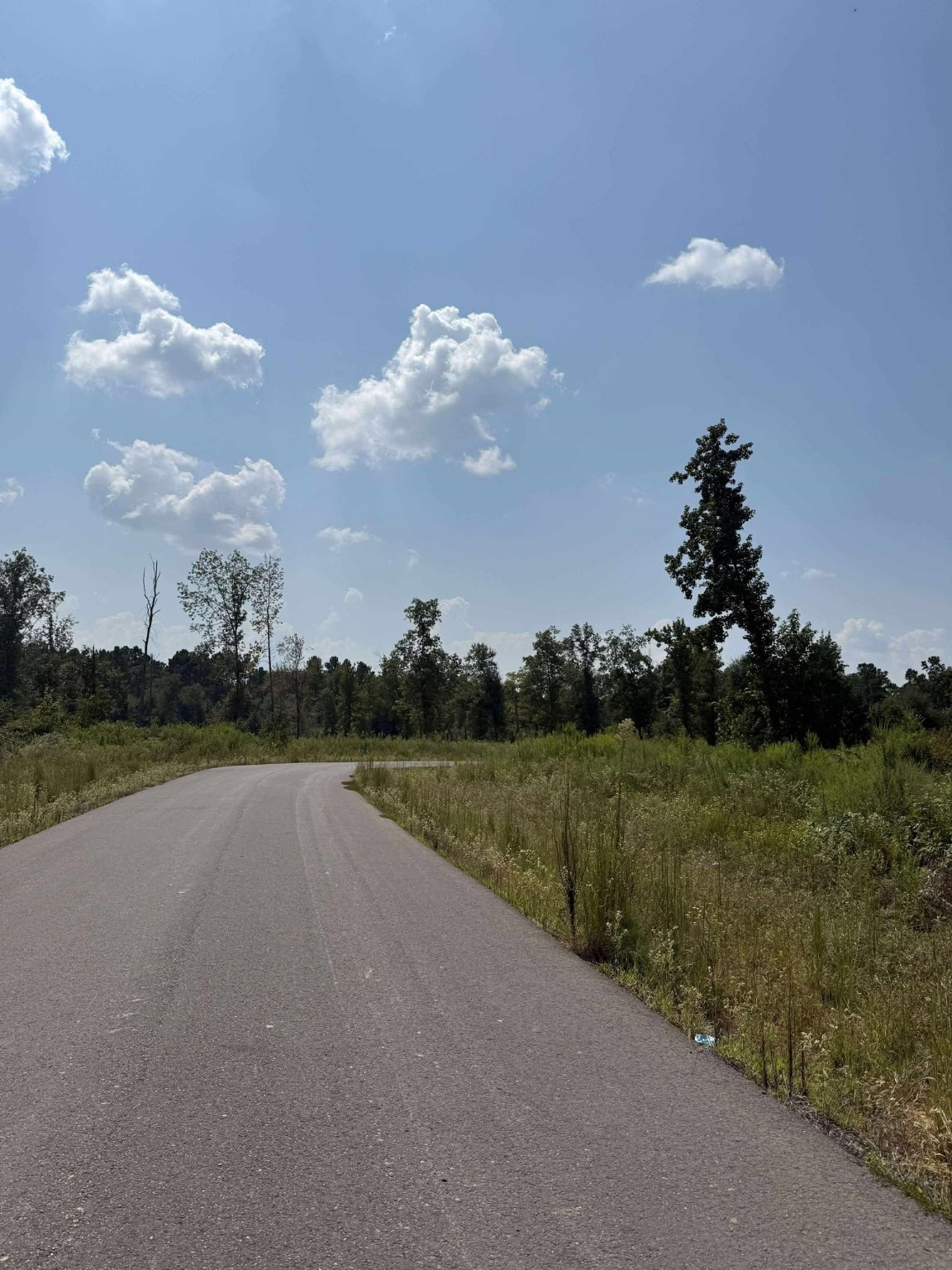 0 Bradleigh Boulevard Frierson LA 71027
