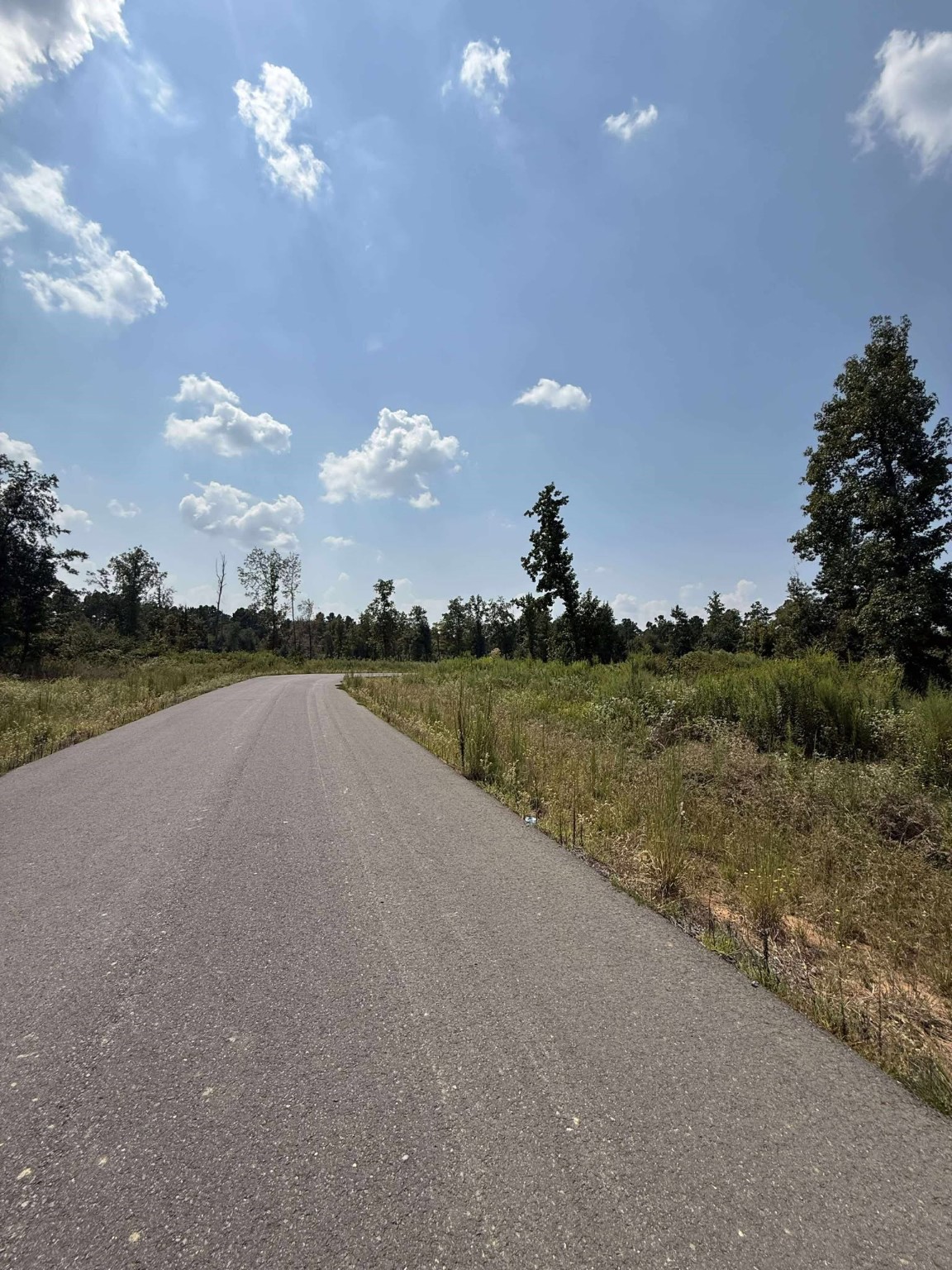 0 Bradleigh Boulevard Frierson LA 71027