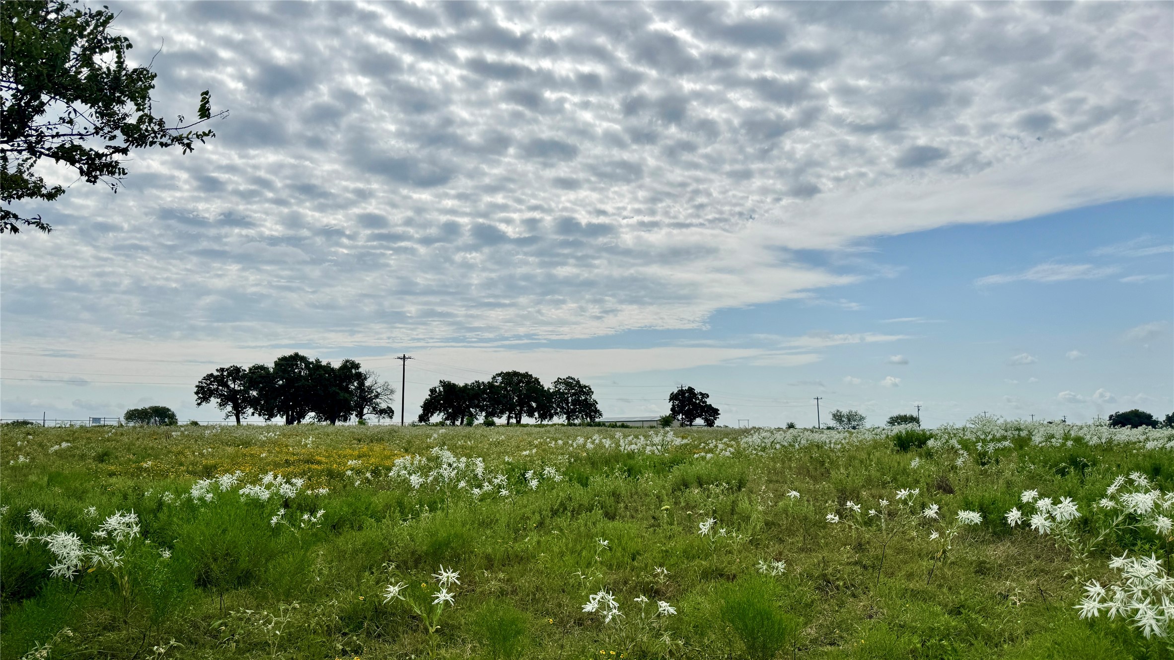000 Cr-120 Wills Point TX 75169