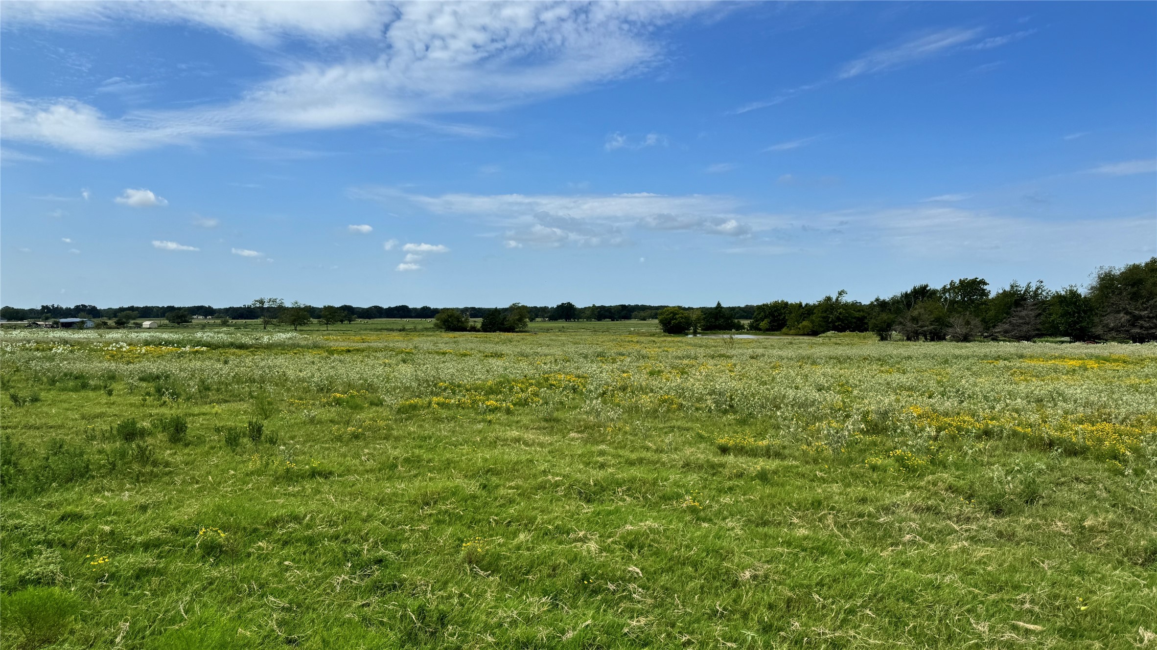 000 Cr-120 Wills Point TX 75169