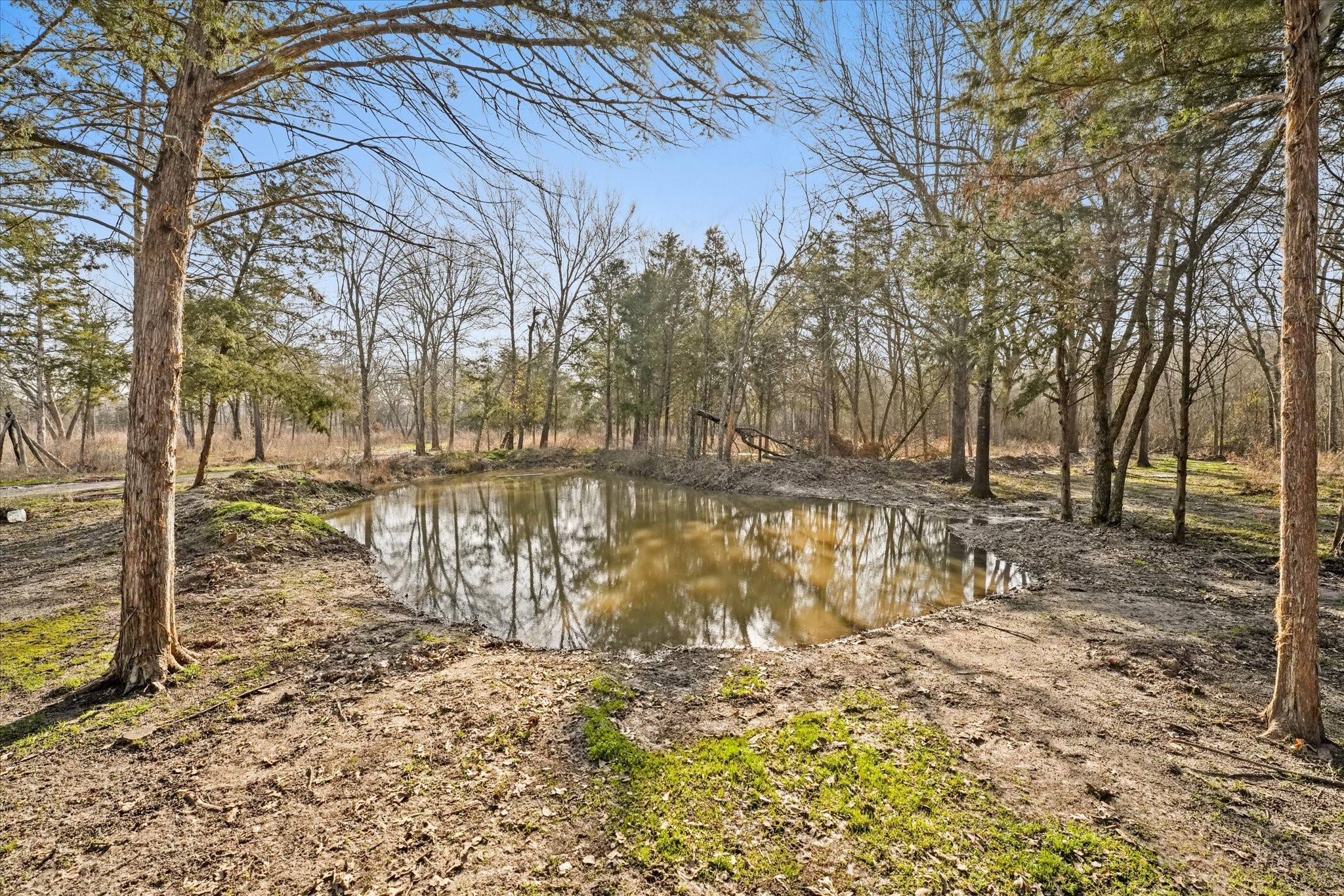 3402 County Road 1160 Greenville TX 75401