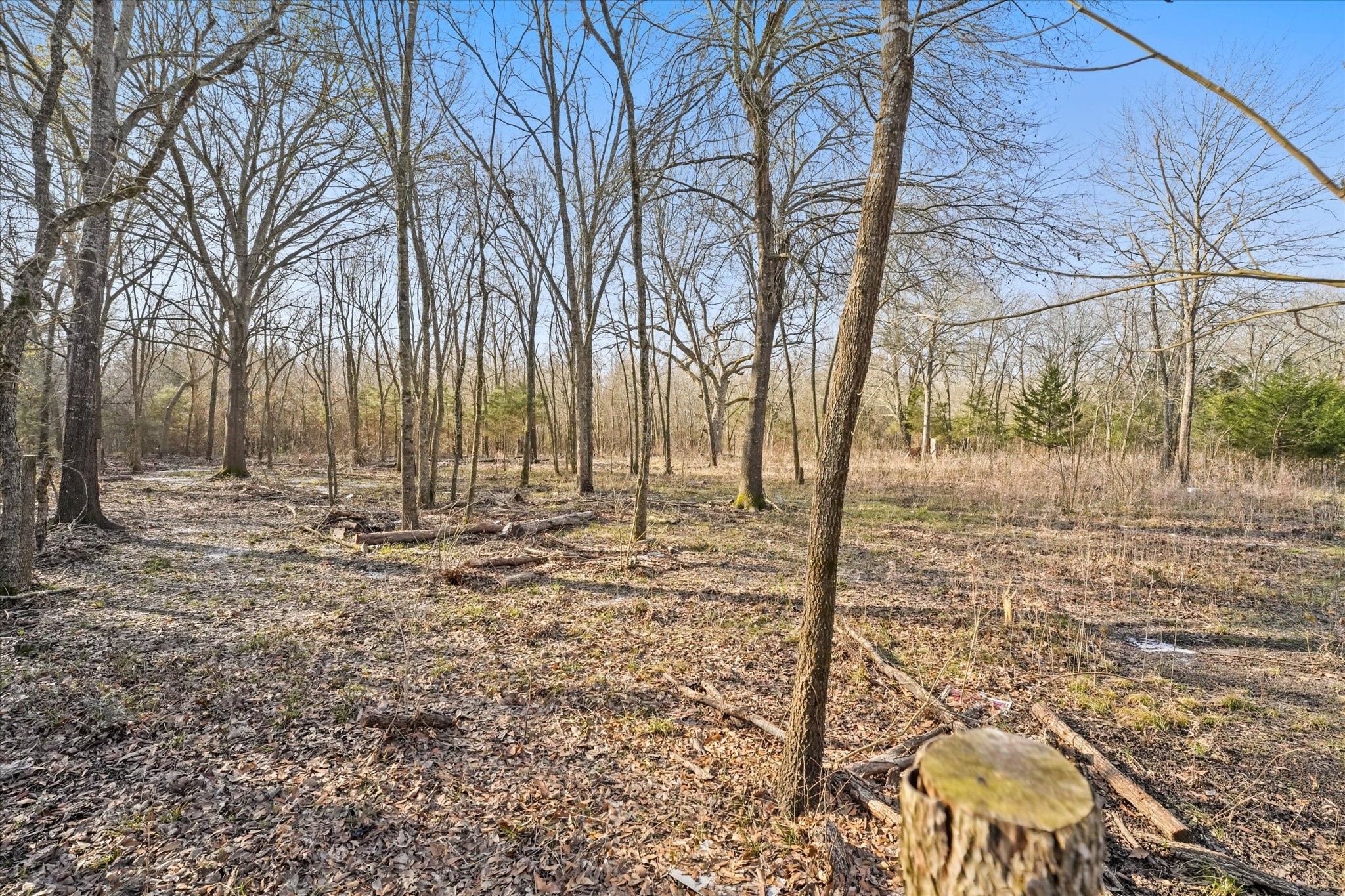 3402 County Road 1160 Greenville TX 75401