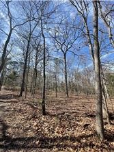 63R King Frederick Court Scroggins TX 75480