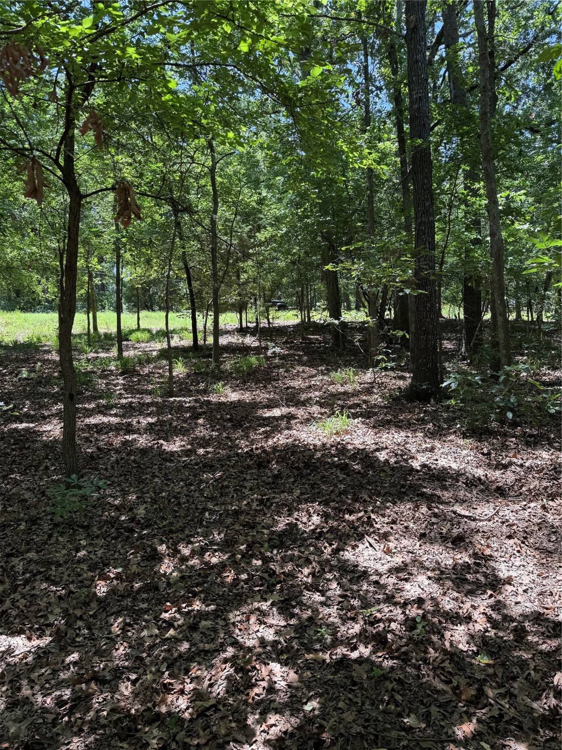 63R King Frederick Court Scroggins TX 75480