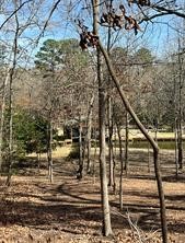 63R King Frederick Court Scroggins TX 75480