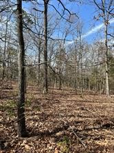 63R King Frederick Court Scroggins TX 75480