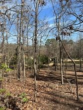 63R King Frederick Court Scroggins TX 75480