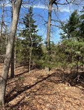 63R King Frederick Court Scroggins TX 75480