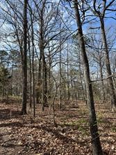 63R King Frederick Court Scroggins TX 75480