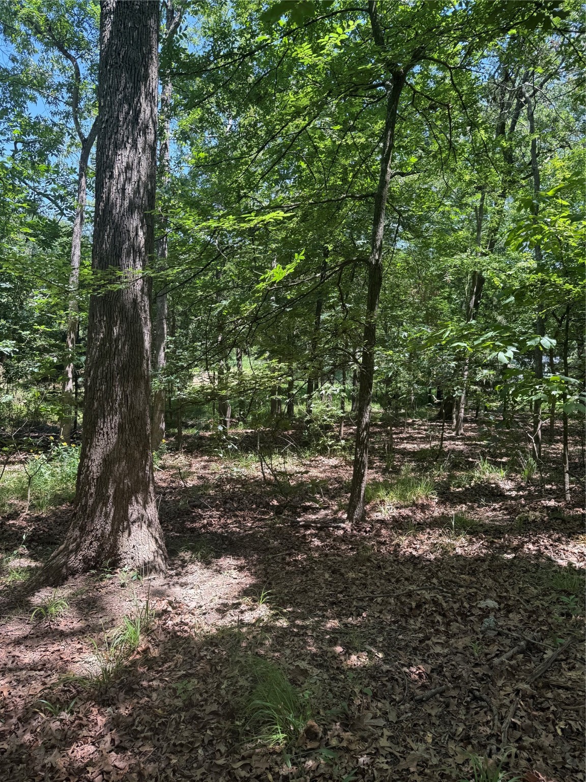 63R King Frederick Court Scroggins TX 75480