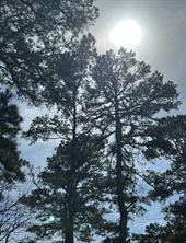 63R King Frederick Court Scroggins TX 75480