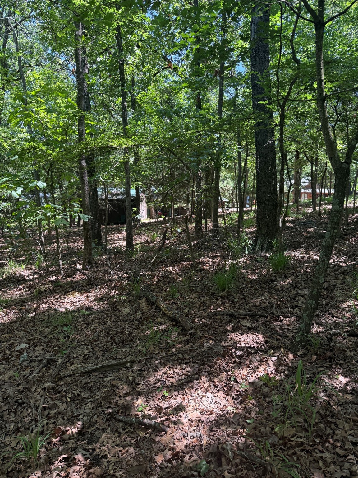 63R King Frederick Court Scroggins TX 75480