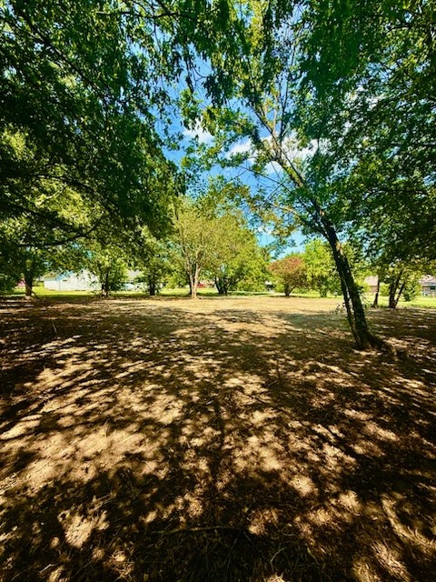 104 S Lamar Street Tioga TX 76271