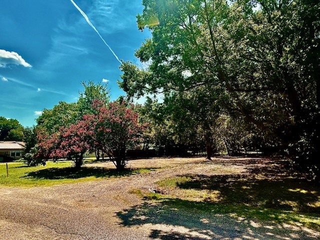 104 S Lamar Street Tioga TX 76271