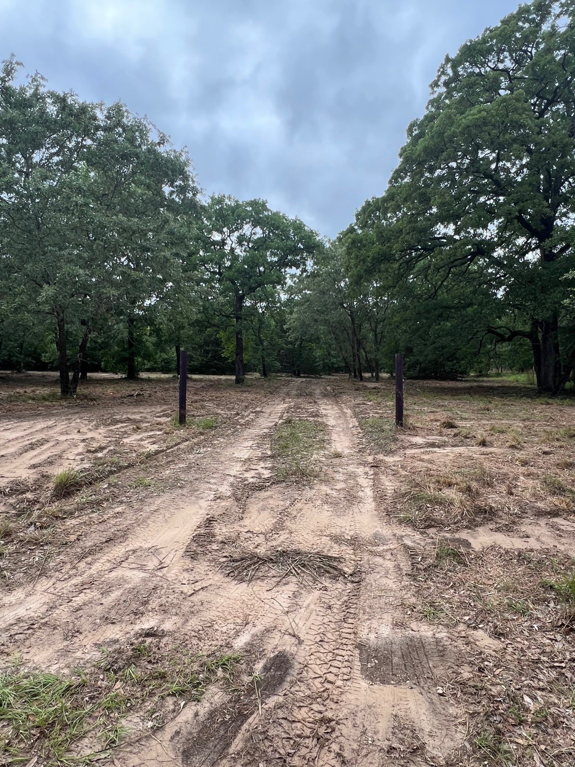Lot 14 County Road 4801 Athens TX 75752
