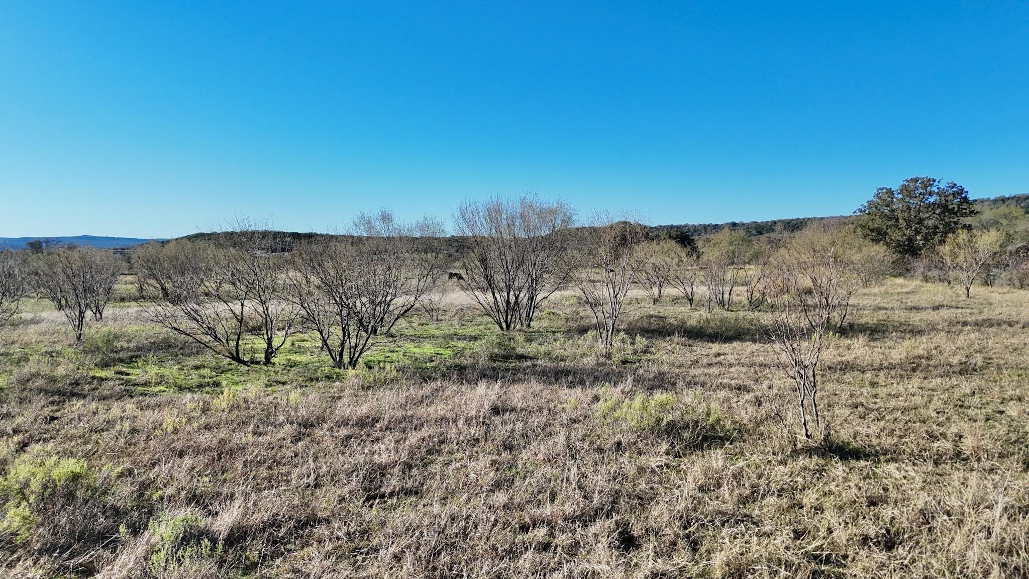 Lot 23 Brazos Valley Lane Mineral Wells TX 76068
