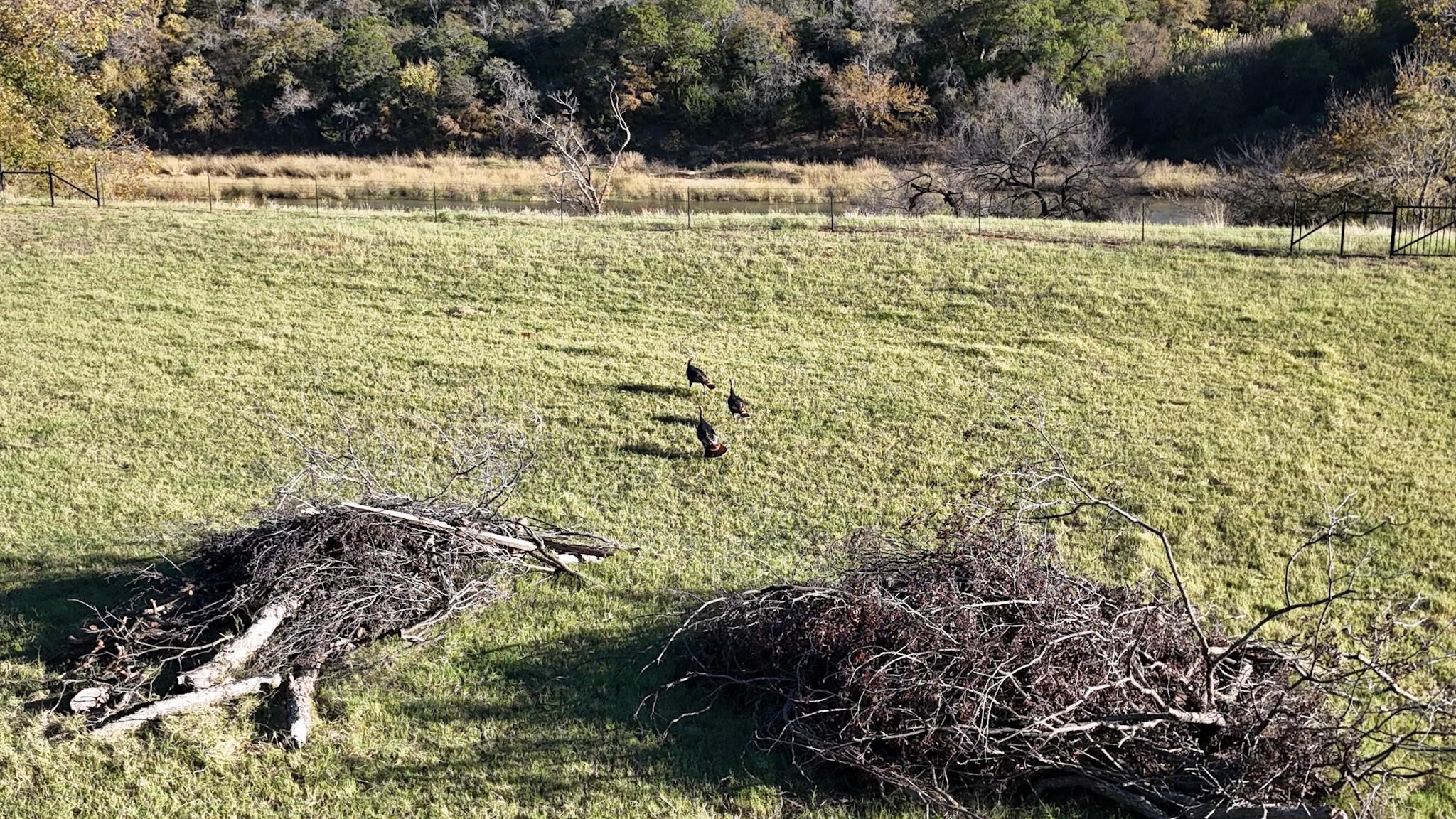 Lot 23 Brazos Valley Lane Mineral Wells TX 76068