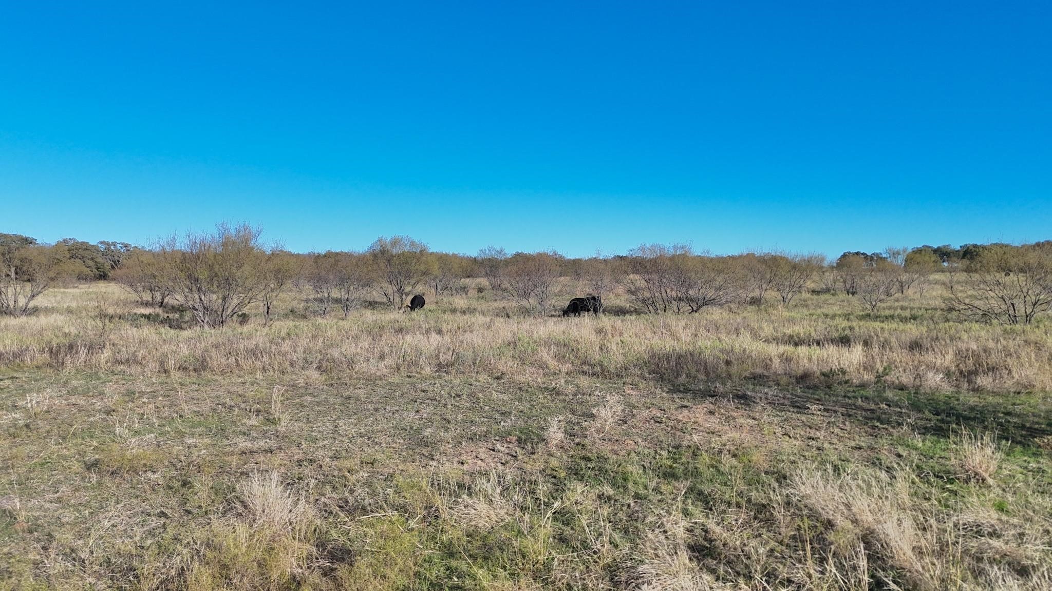 Lot 23 Brazos Valley Lane Mineral Wells TX 76068