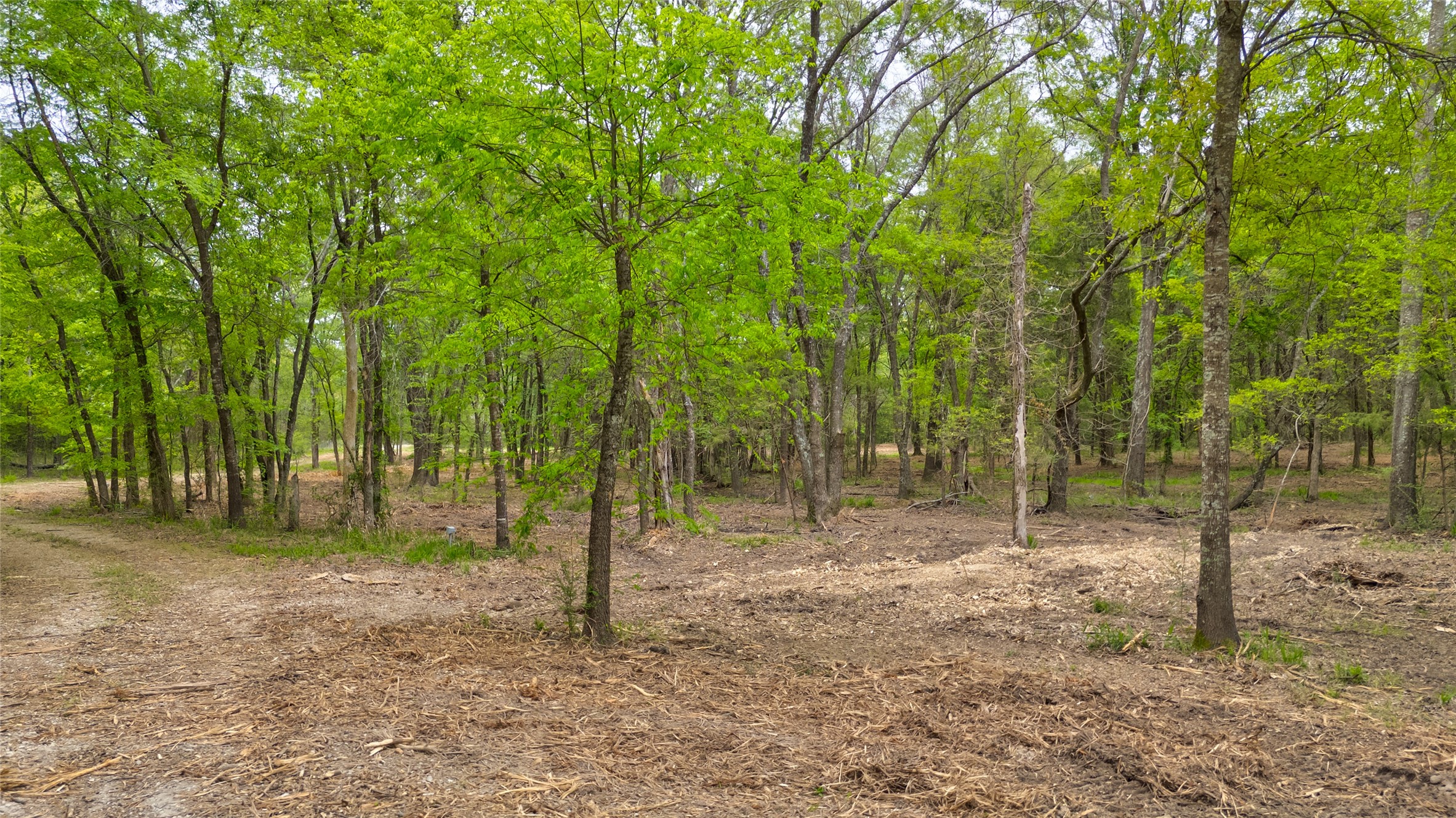 1411 Van Zandt County Road 2139 Wills Point TX 75103