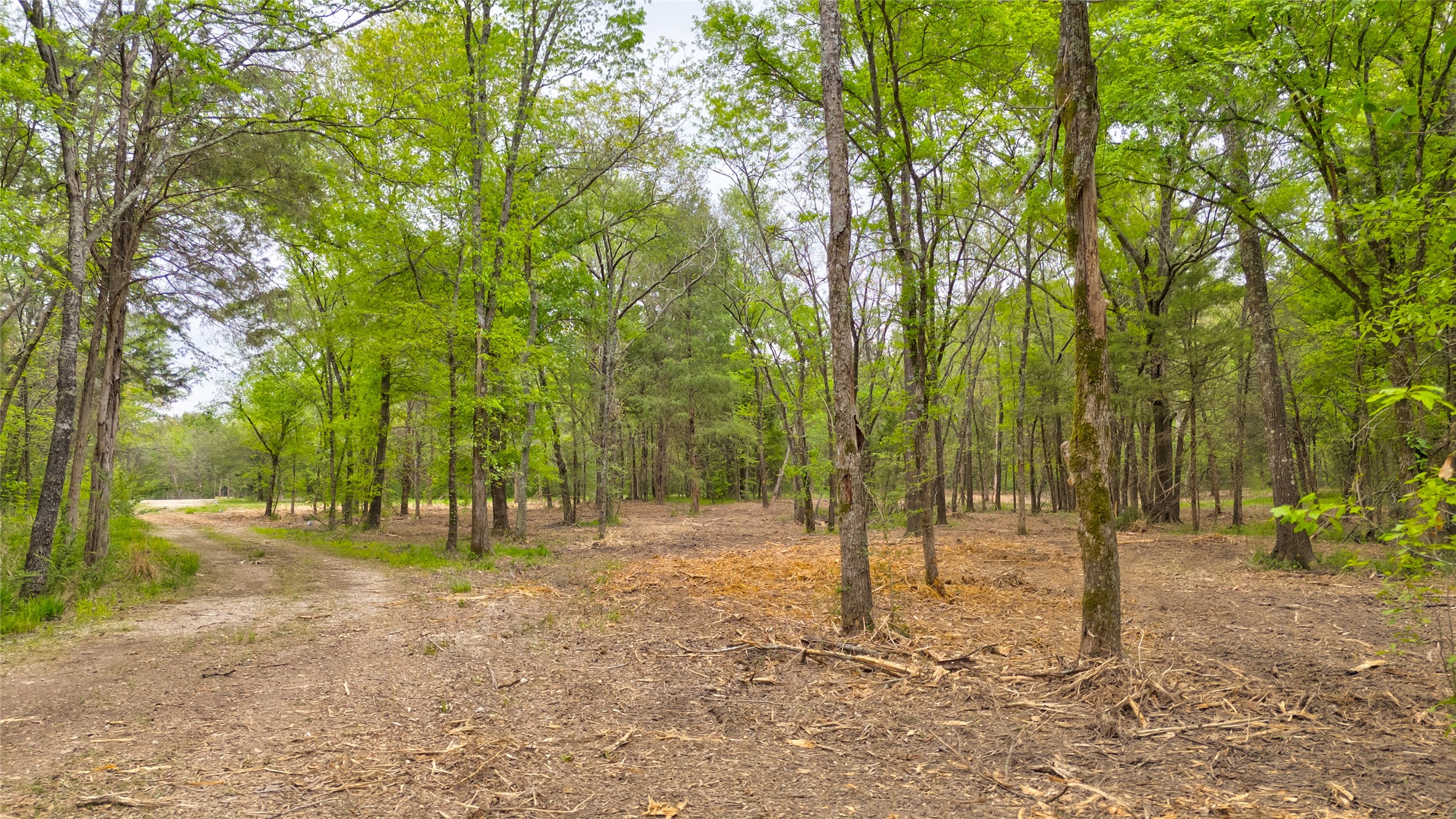 1411 Van Zandt County Road 2139 Wills Point TX 75103