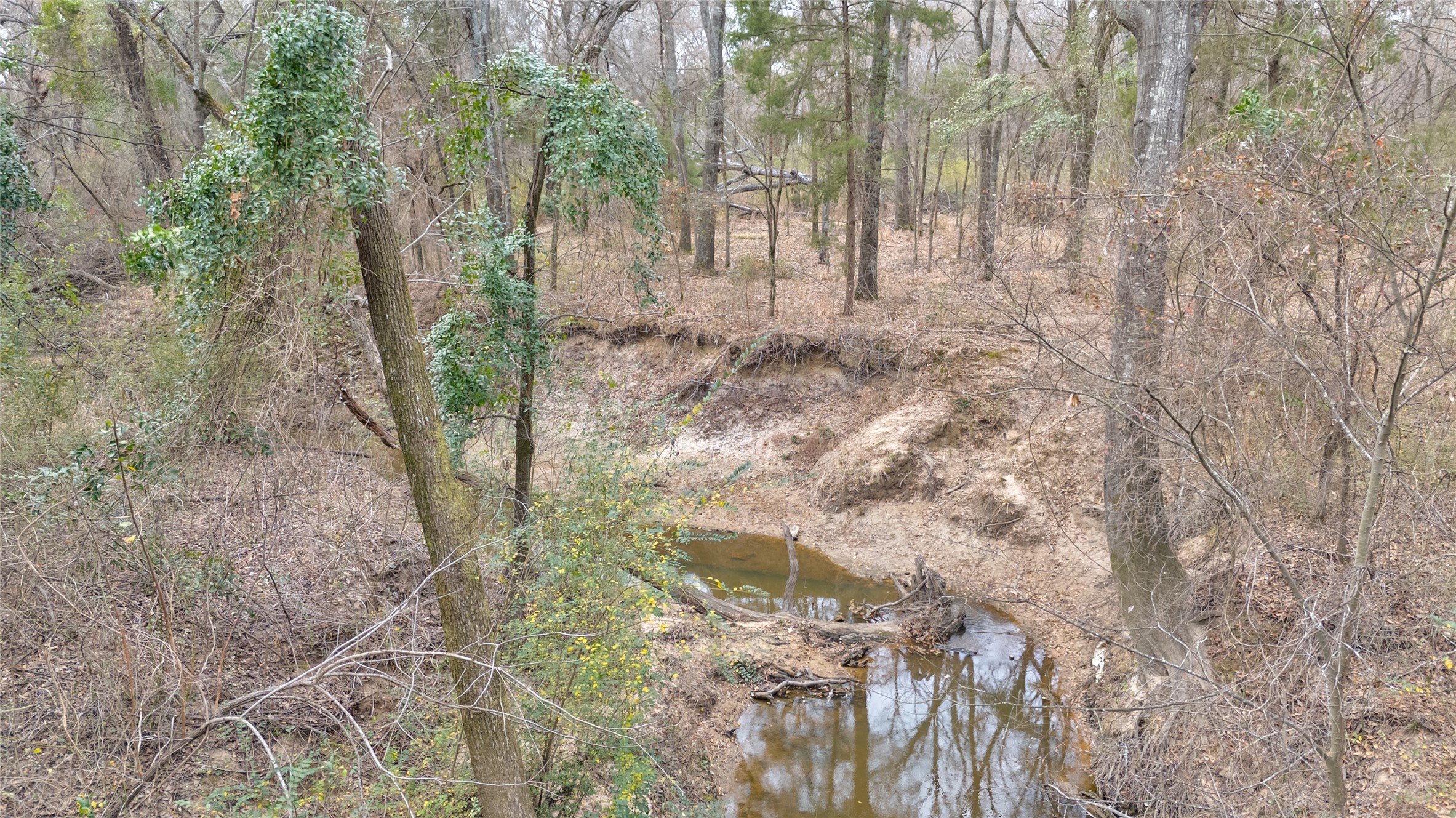 1411 Van Zandt County Road 2139 Wills Point TX 75103
