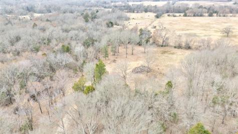 1411 Van Zandt County Road 2139 Wills Point TX 75103