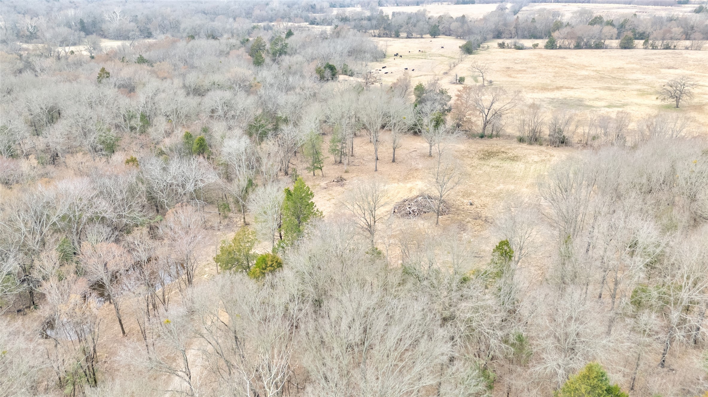 1411 Van Zandt County Road 2139 Wills Point TX 75103