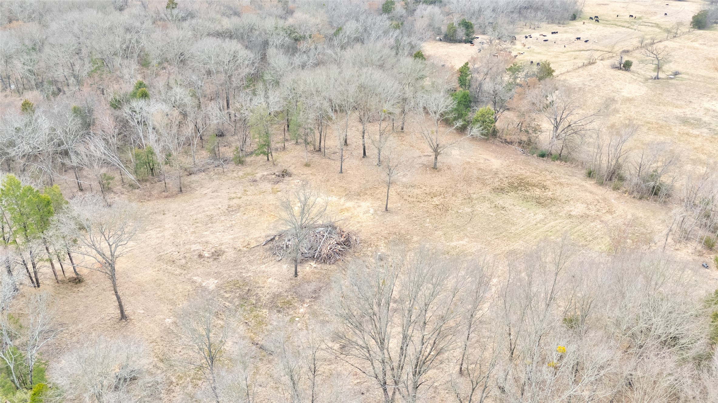 1411 Van Zandt County Road 2139 Wills Point TX 75103