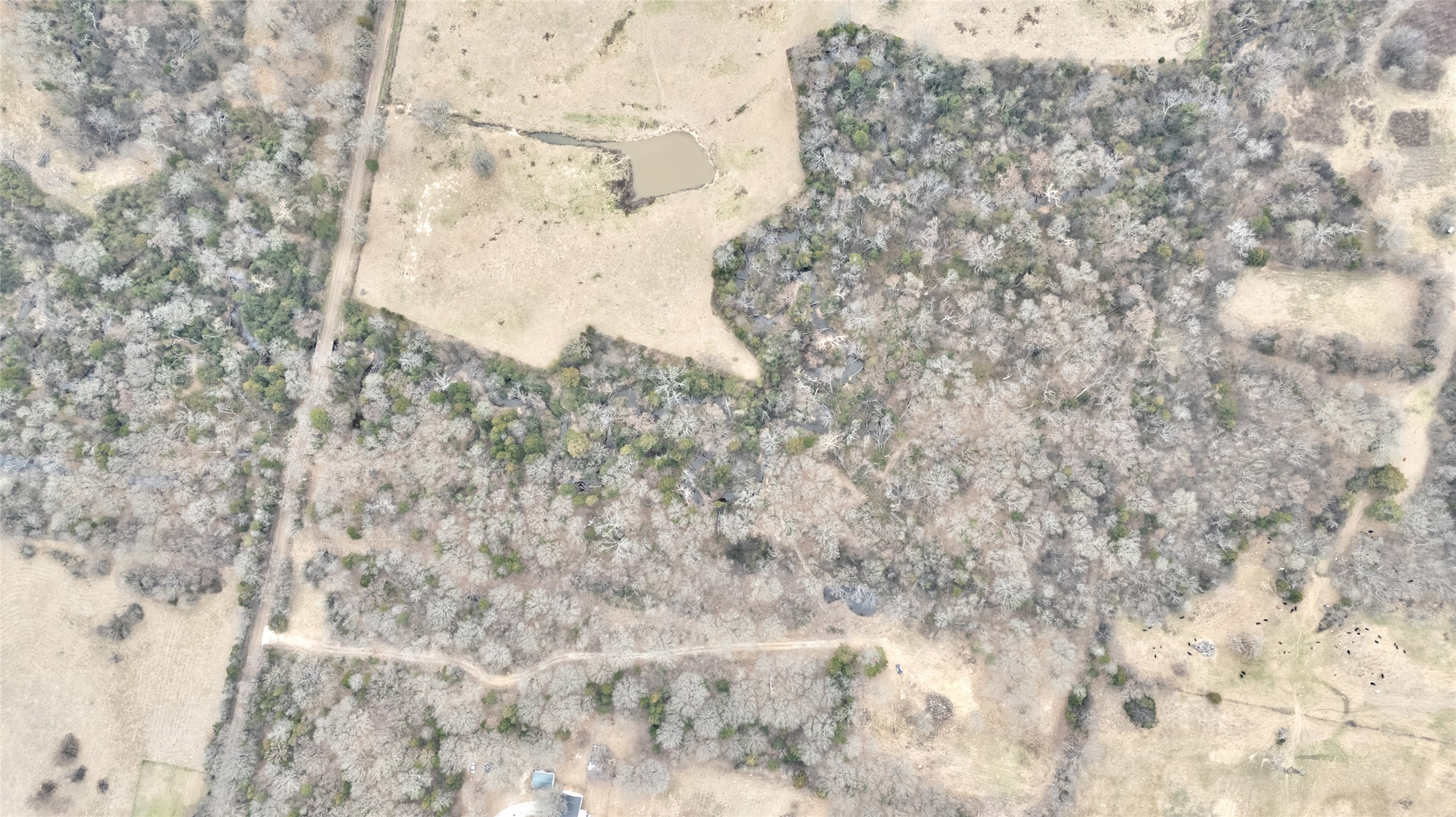 1411 Van Zandt County Road 2139 Wills Point TX 75103