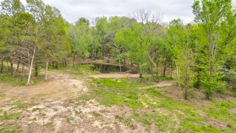 1411 Van Zandt County Road 2139 Wills Point TX 75103
