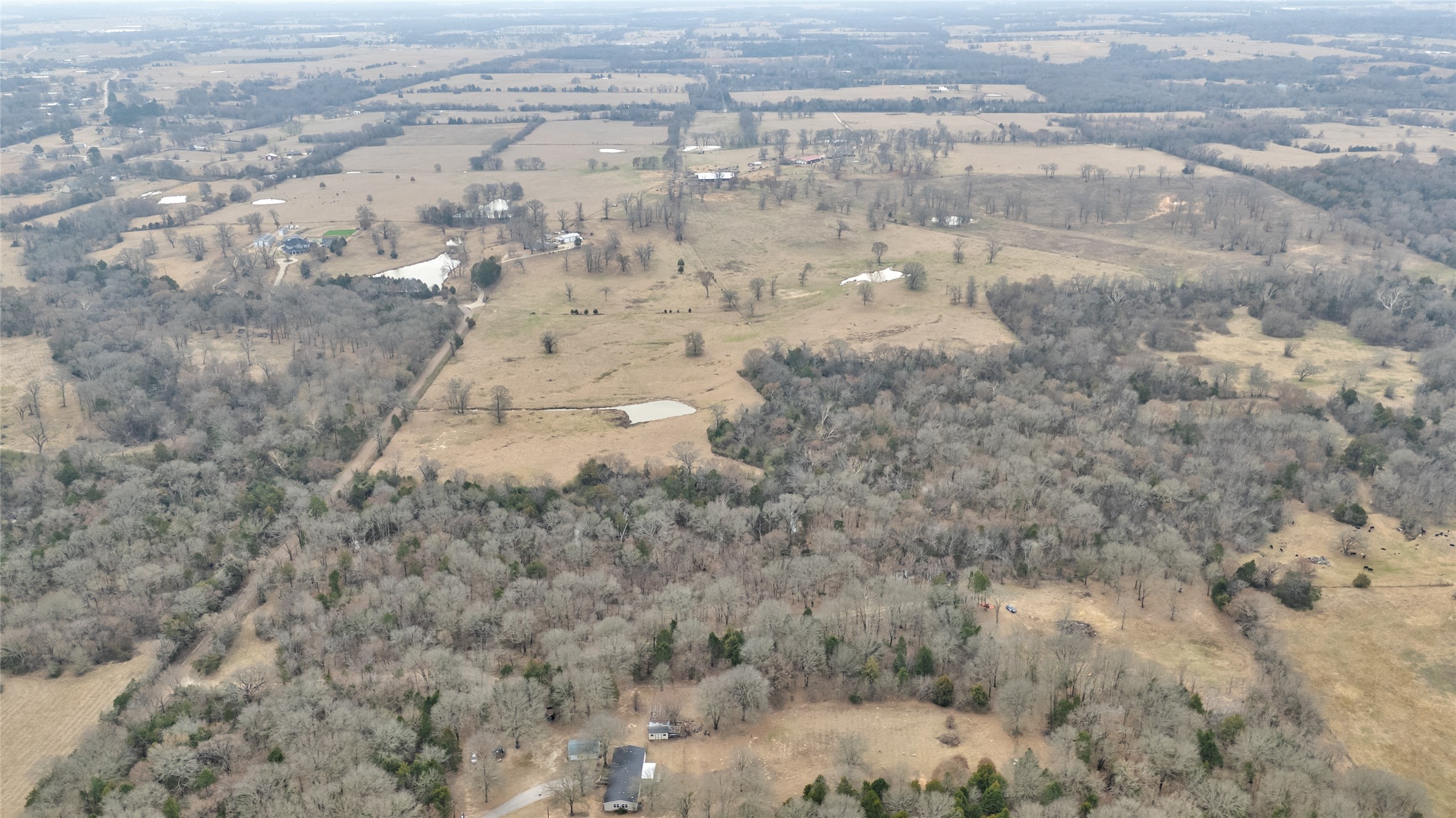1411 Van Zandt County Road 2139 Wills Point TX 75103