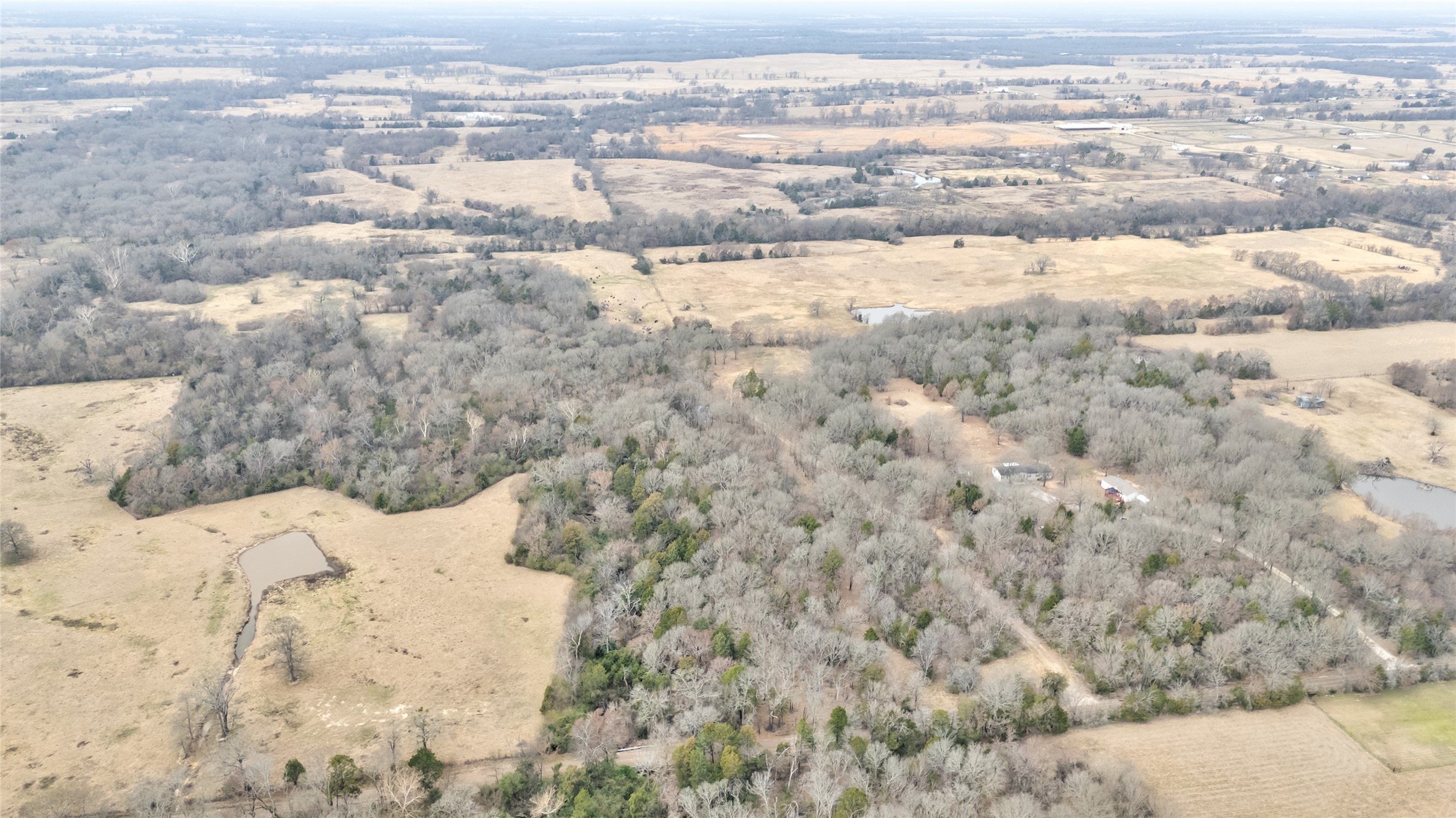 1411 Van Zandt County Road 2139 Wills Point TX 75103