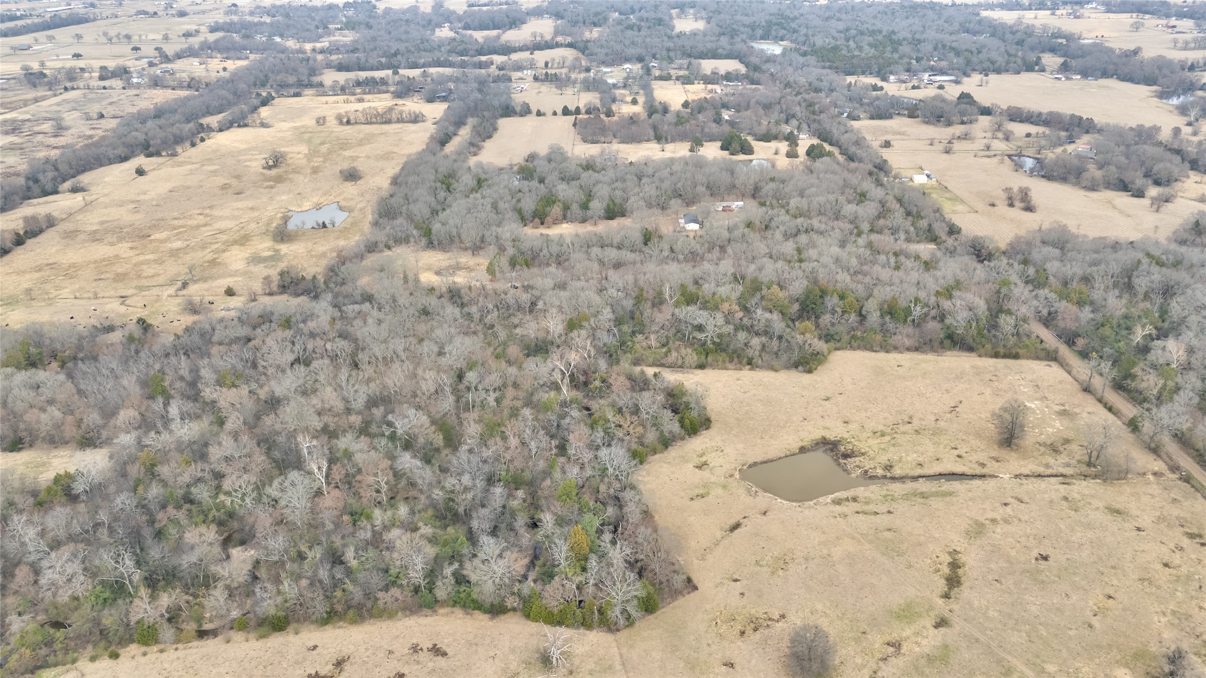 1411 Van Zandt County Road 2139 Wills Point TX 75103
