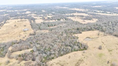 1411 Van Zandt County Road 2139 Wills Point TX 75103