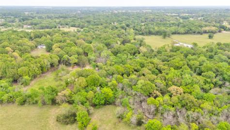1411 Van Zandt County Road 2139 Wills Point TX 75103