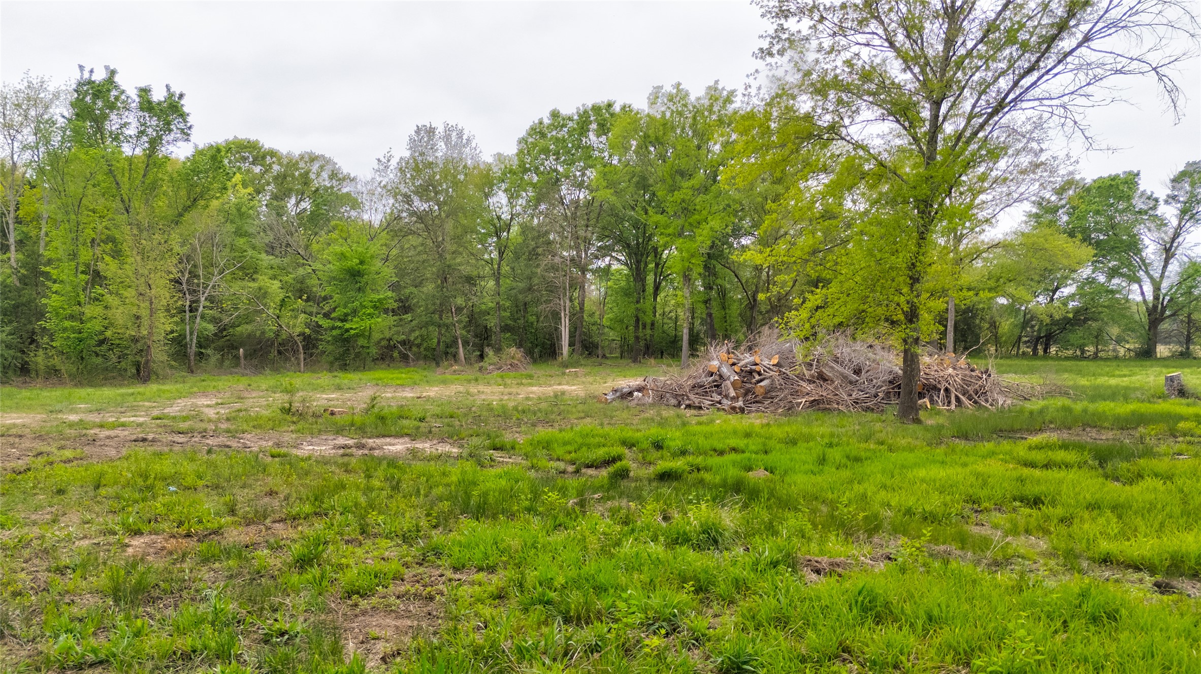 1411 Van Zandt County Road 2139 Wills Point TX 75103
