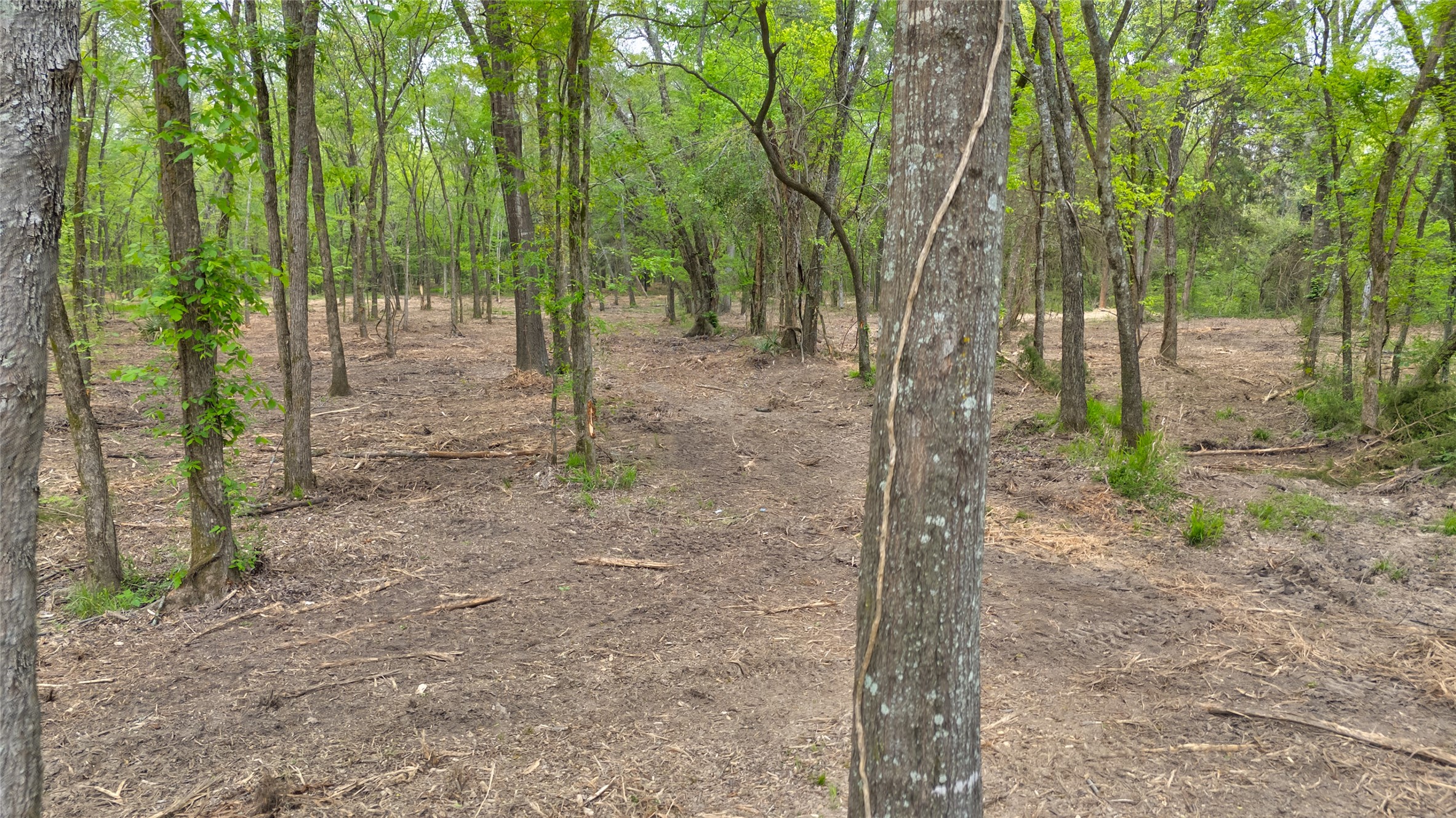 1411 Van Zandt County Road 2139 Wills Point TX 75103