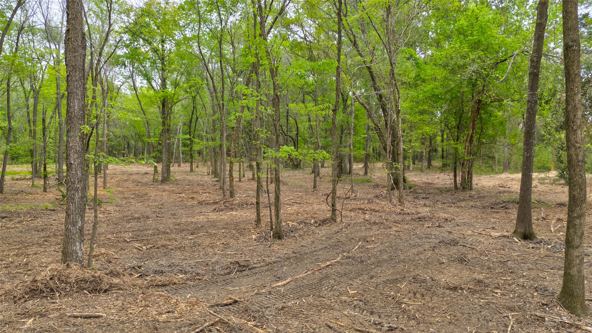 1411 Van Zandt County Road 2139 Wills Point TX 75103