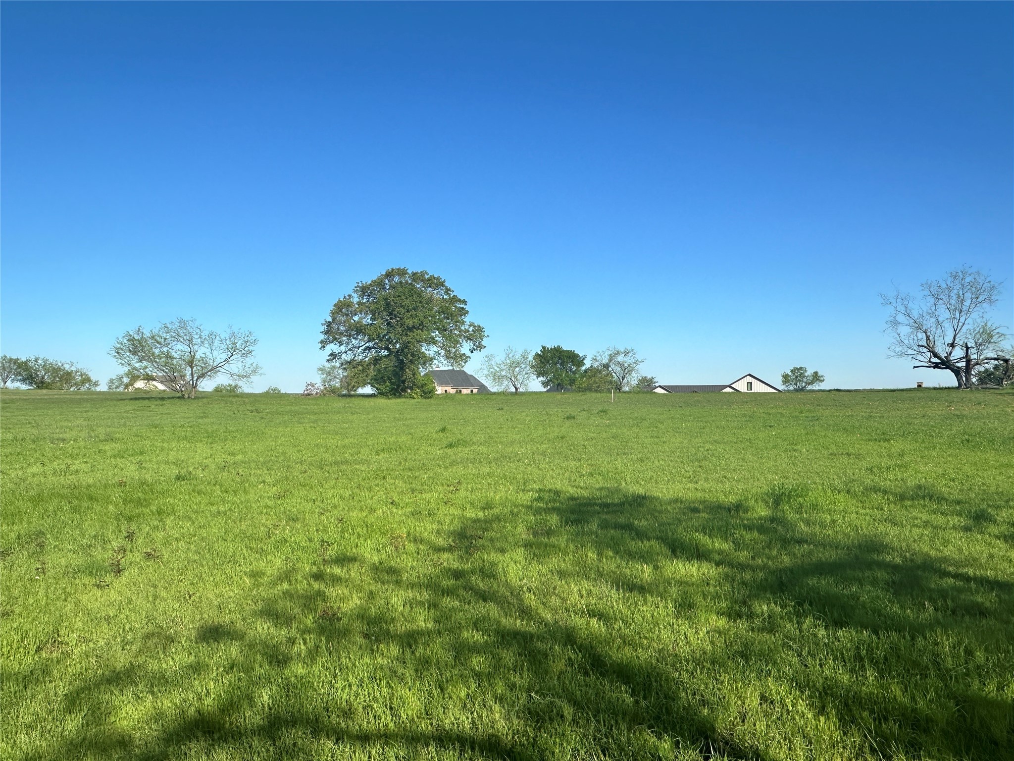 Lot 81 Moonlight Bay Court Streetman TX 75859