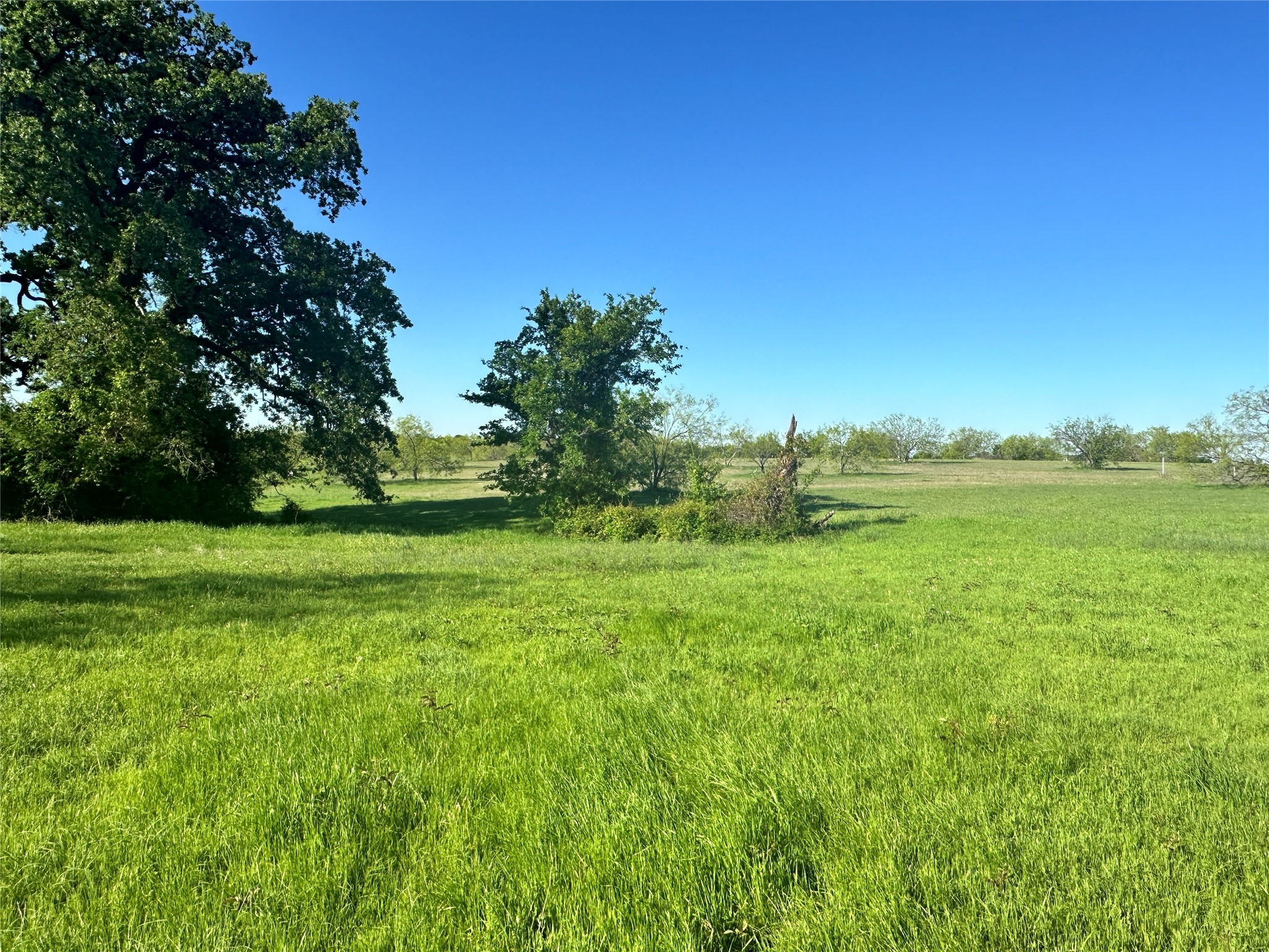 Lot 81 Moonlight Bay Court Streetman TX 75859
