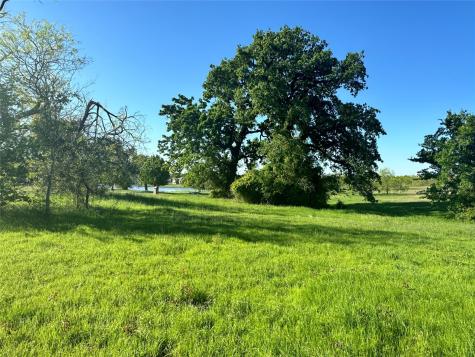 Lot 81 Moonlight Bay Court Streetman TX 75859