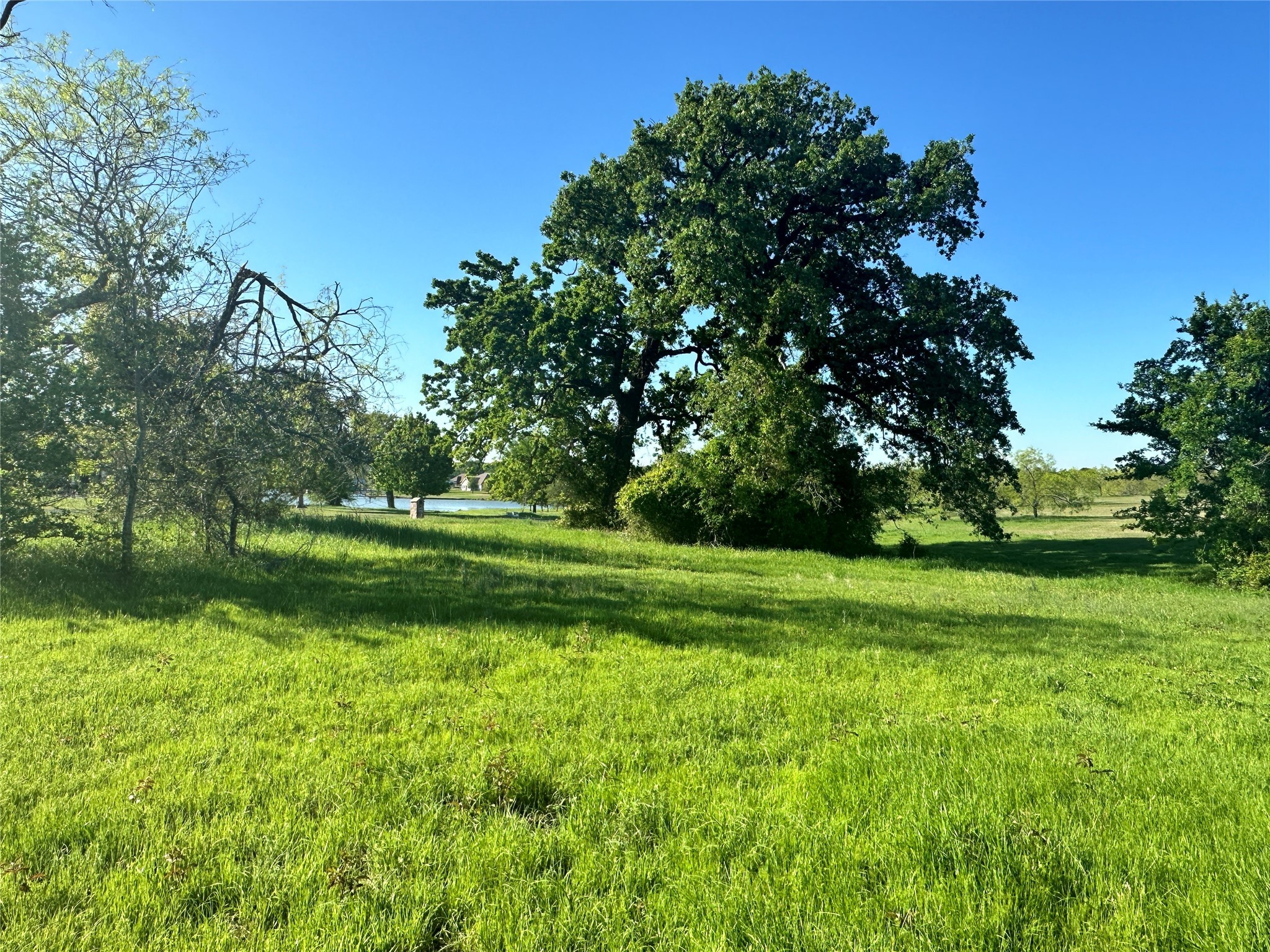 Lot 81 Moonlight Bay Court Streetman TX 75859