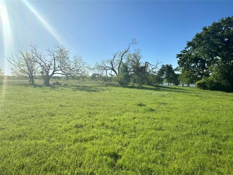 Lot 81 Moonlight Bay Court Streetman TX 75859