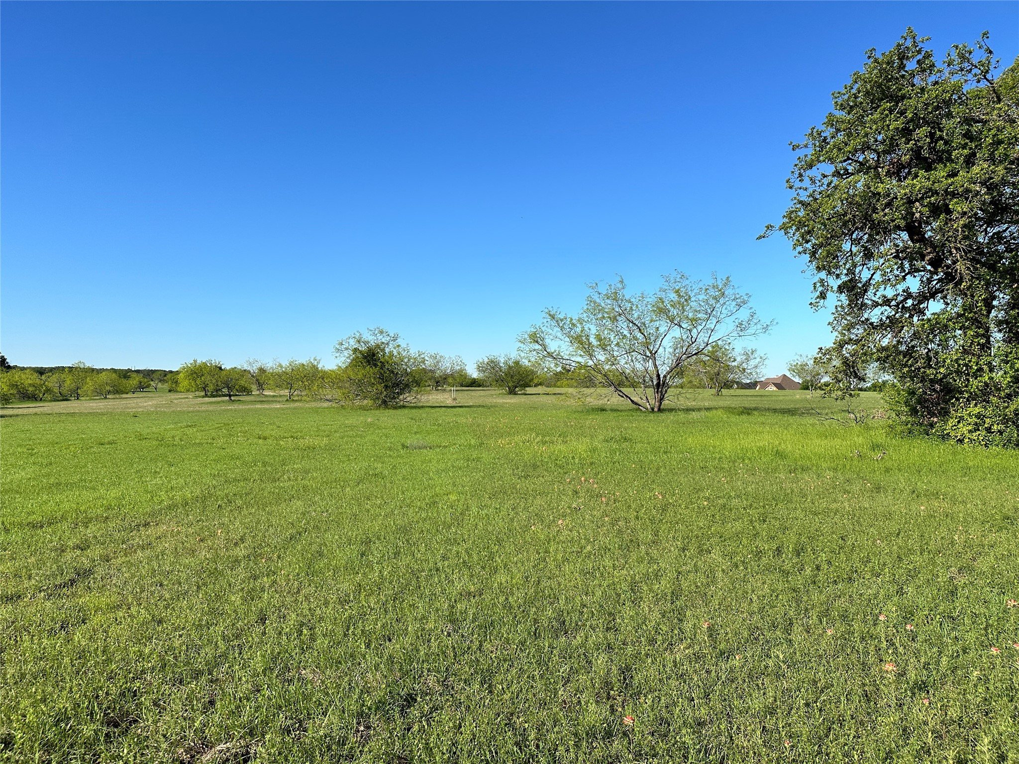 Lot 81 Moonlight Bay Court Streetman TX 75859